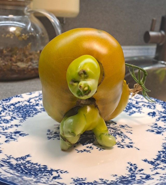 Я боюсь есть эти помидоры)