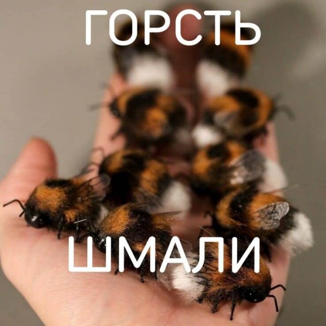 Так себе картинки 27.07.26