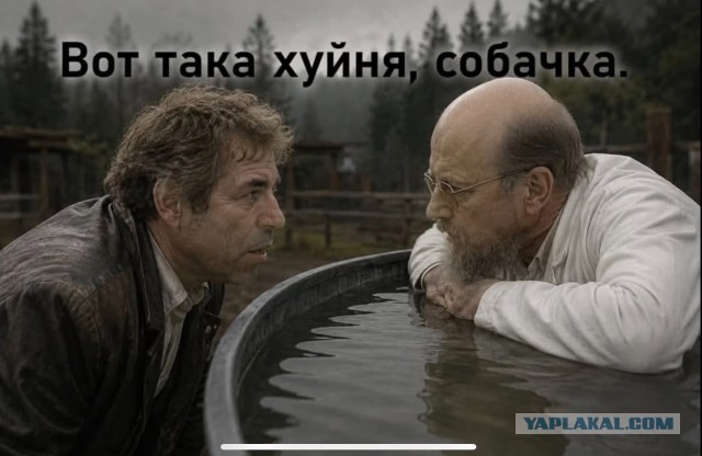 Билайн из своей библиотеки удалил "Собачье сердце"