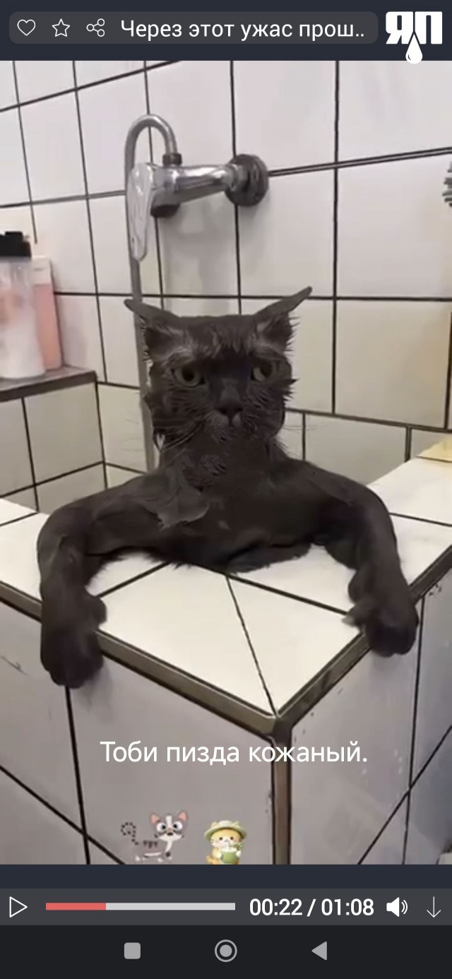 Через этот ужас прошли все!