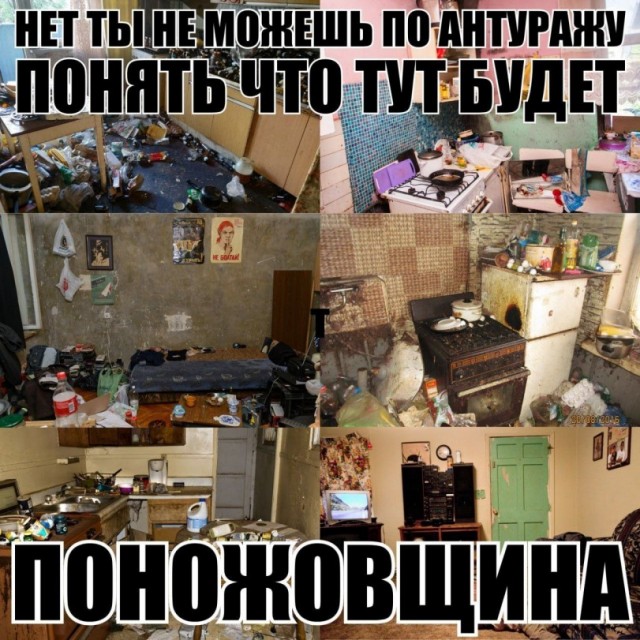 Картинки для деградации 276 (разной степени свежести)