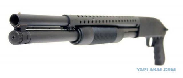 Необычная банда в Южной Африке терроризирует людей