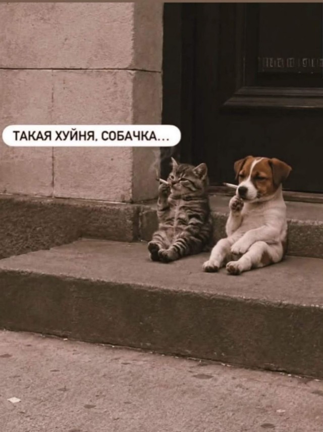 А как у них?Пляж в Нячанге