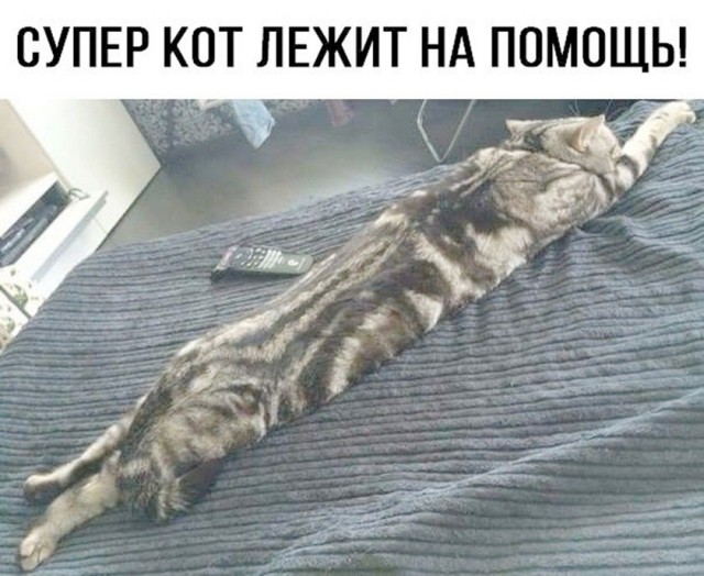 Так себе картинки 12.10.26