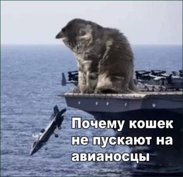 Картинки для деградации 298 (разной степени свежести)
