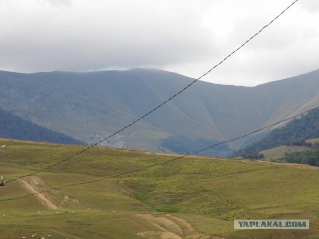 В Карпатах