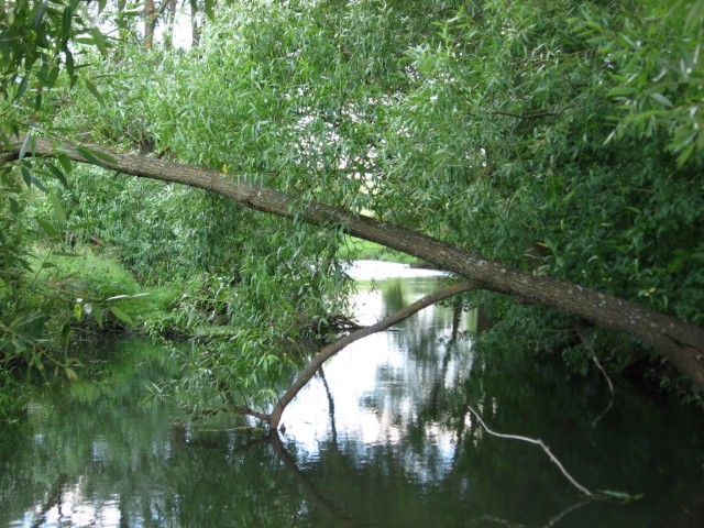 Поездка на Тамбовщину