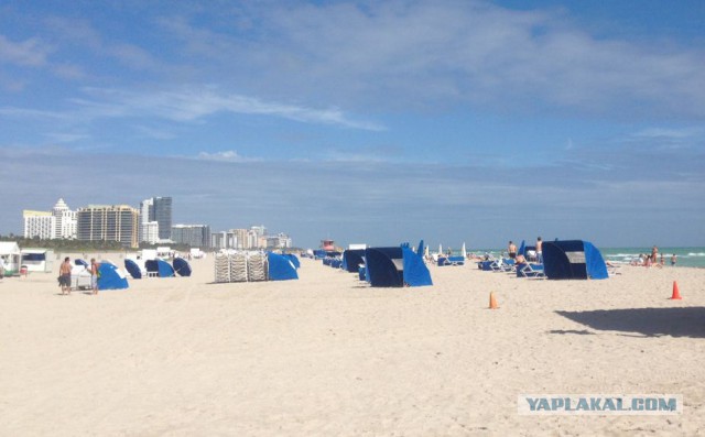 Поездка в Miami