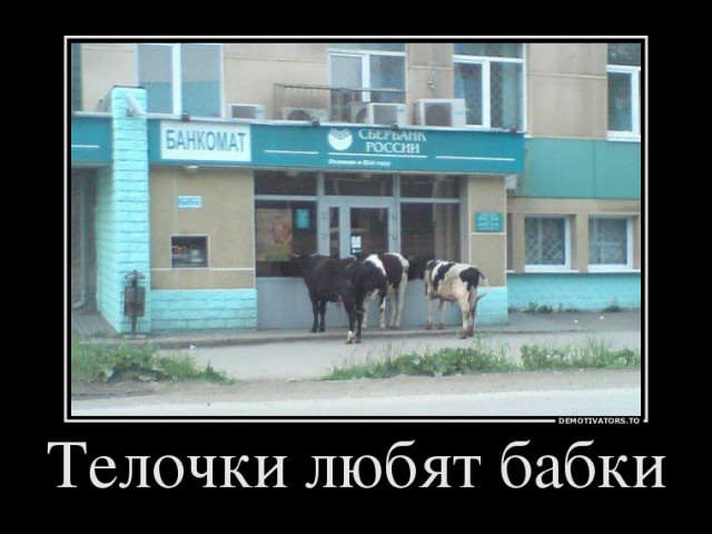 Демотиваторы.