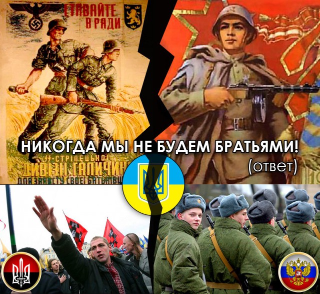 Мы не будем братьями