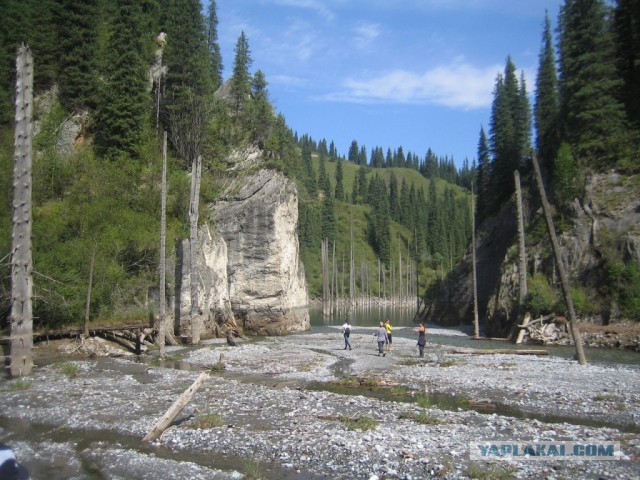 Озеро Каинды - Утонувший лес
