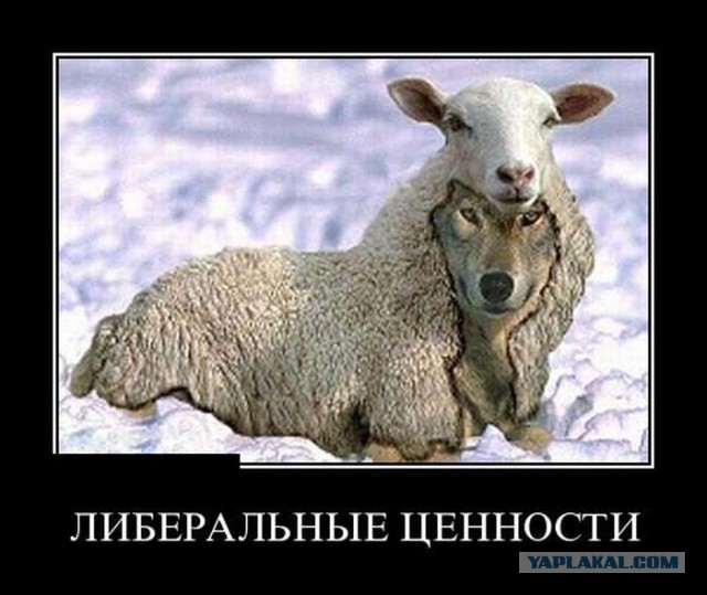 Подборка веселых картинок