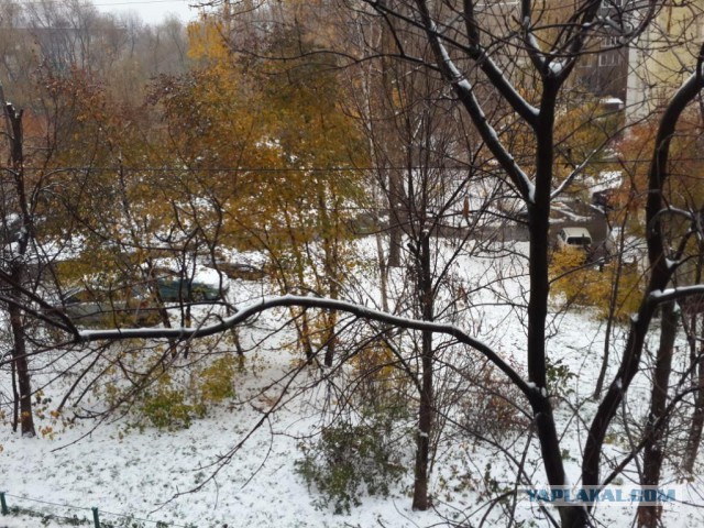 Погоды в киеве пост.