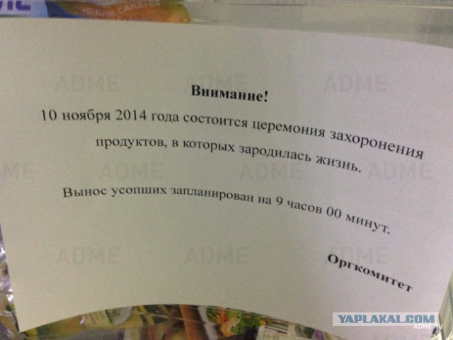 Весёлые картинки