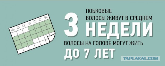 10 удивительных фактов о...