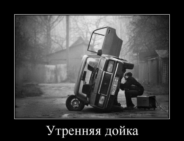 Веселое из сети