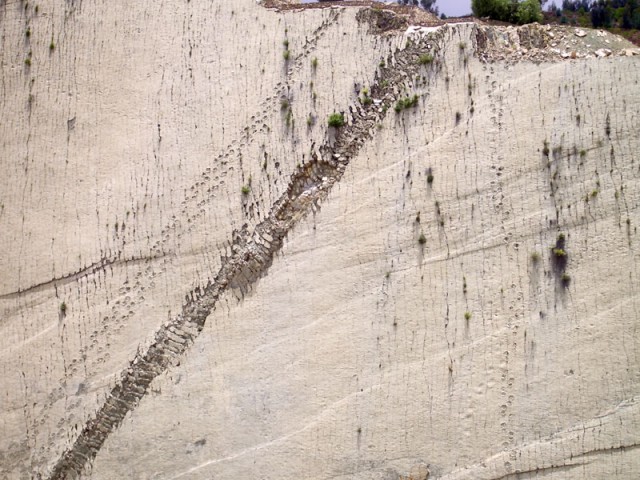 Стена, по которой ходили динозавры