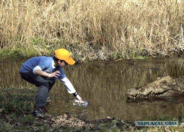 Подборка прикольных фото/картинок