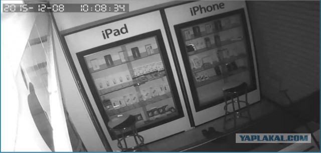 За что я люблю китайцев