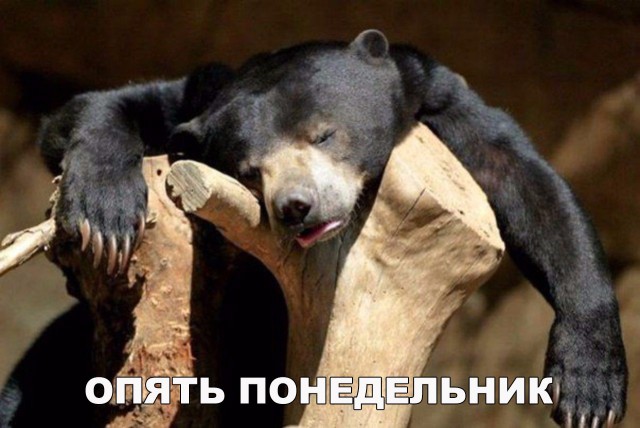 Винегрет фоток на пятницу...