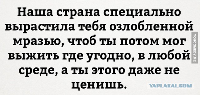 Я работаю в "чёрную". И не жалею. А "Правительство" со своими дебильными законами идёт на*уй