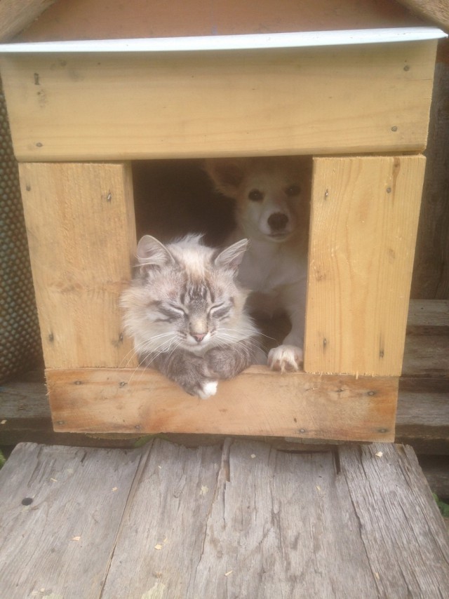 Подборка интересных и веселых картинок