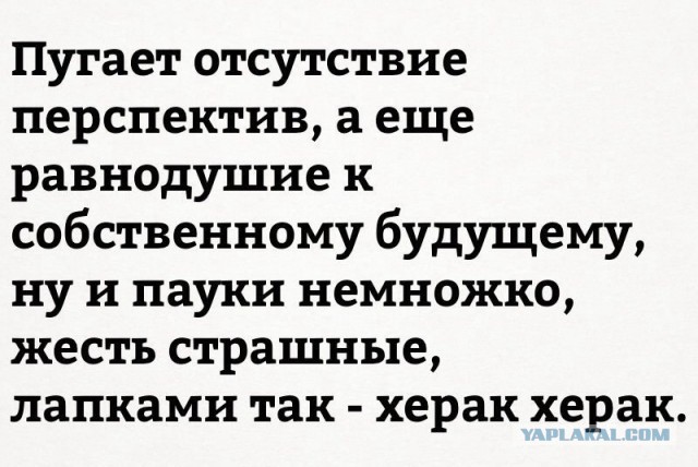 Подборка интересных и веселых картинок