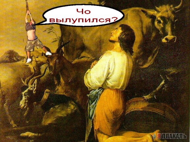 Шарик сбежал!