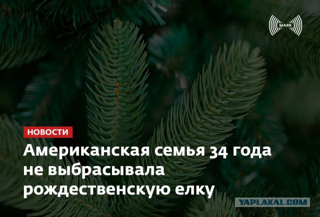 Смешные комментарии из социальных сетей 29.12.2017.