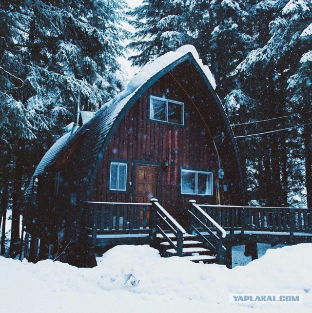 Оплот одиночества