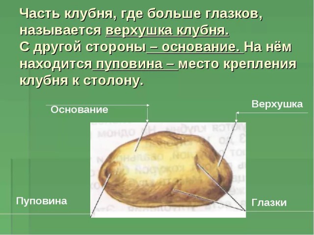 Как правильно резать картошку, чтобы она хорошо прожарилась. Да, это настоящее исследование для лентяев