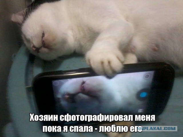 Побаяним? Картинки