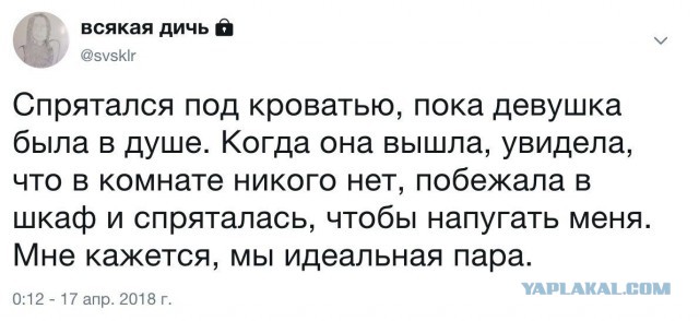 Смешные комментарии из социальных сетей 20.04.2018