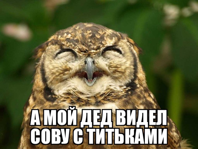 Я тут на митинг вчера сходил