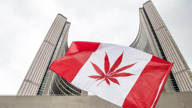 В Канаде открылась вакансия «ценителя марихуаны»