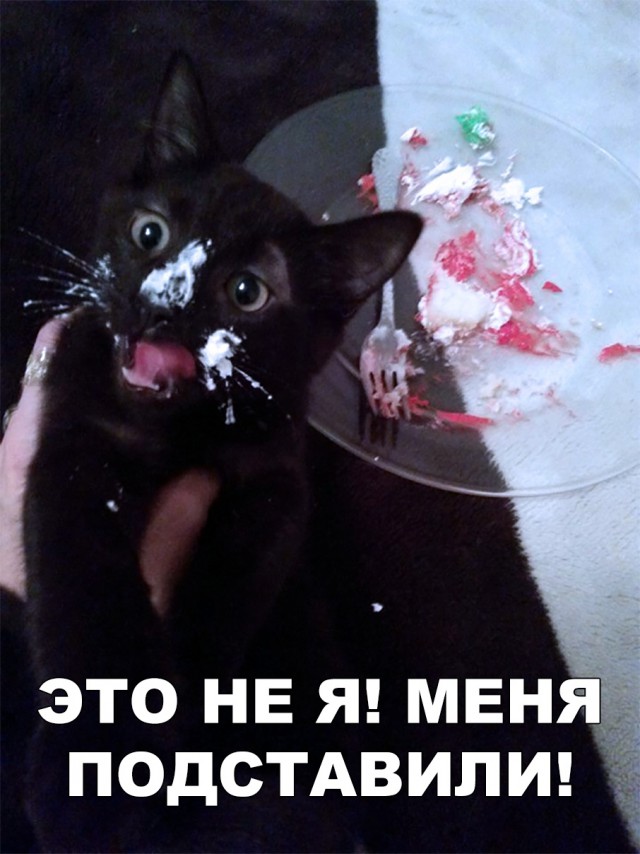 Немного милоты