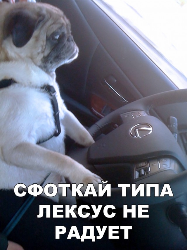 Нестандартный юмор