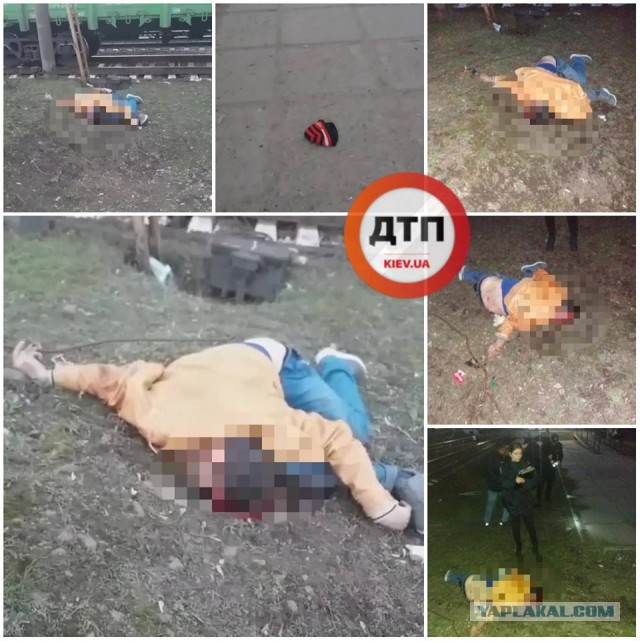 Мудро