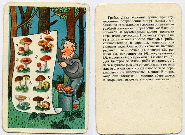 Турист помни!