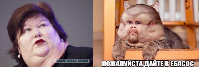 Норвежский министр здравоохранения