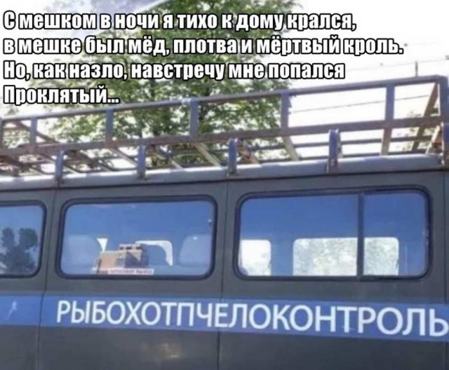 Разных картинок псто 12.08.19
