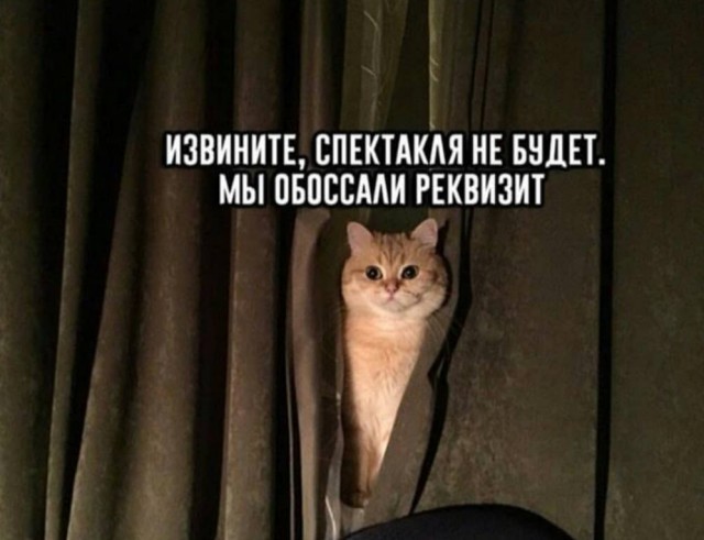 Чуток картинок Ночные 2