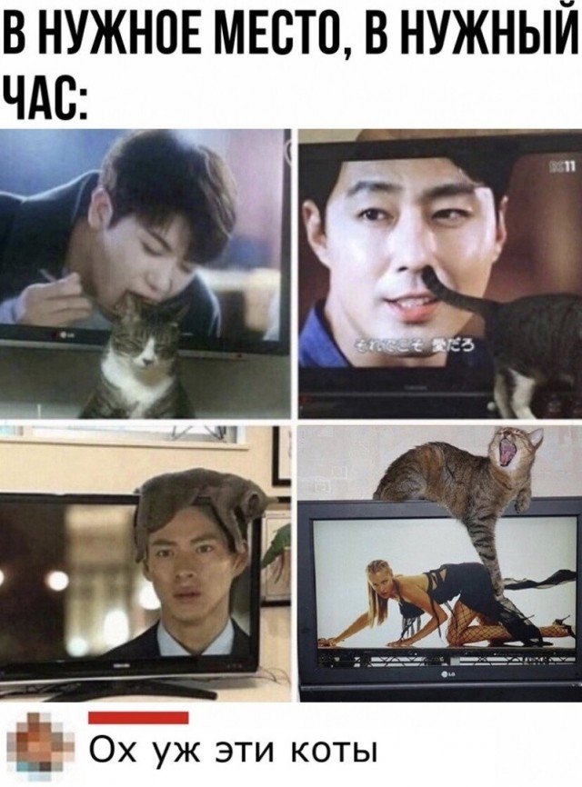 Карантинки