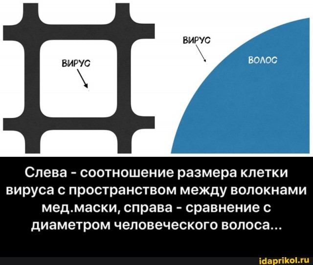 «Выходит, это не защита, а рассадник заражения?»: чем аукнулись волгоградцу полдня в маске и перчатках