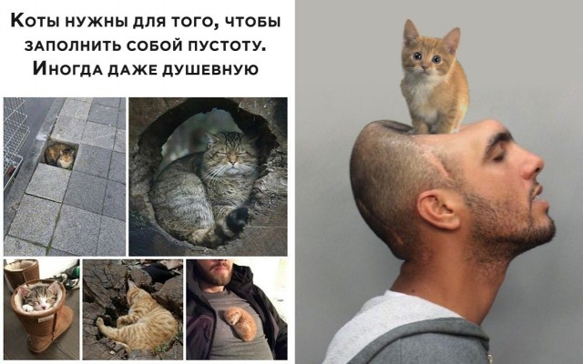 Чуток картинок 27.05.20