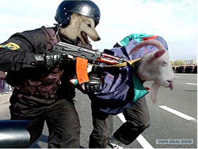 Коза с языком: А вот вам!