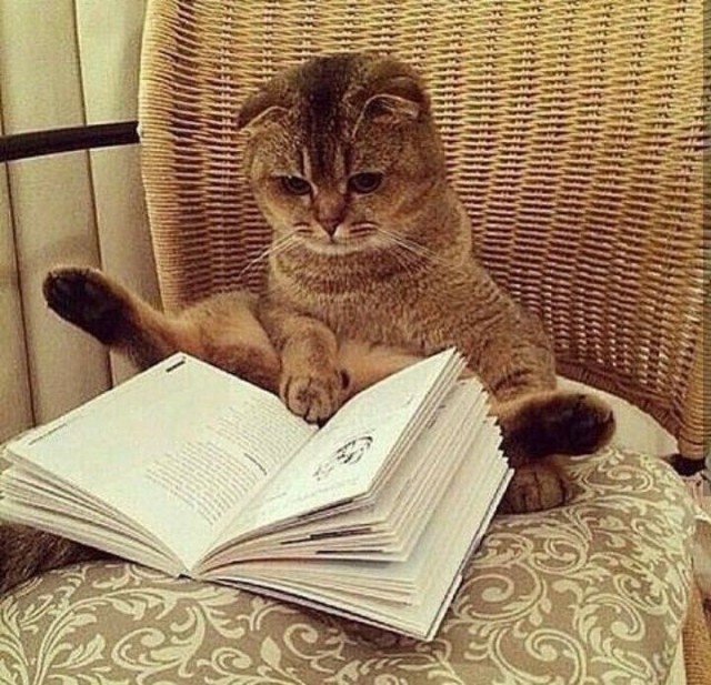 Новогоднее поздравление всему ЯПу и не только