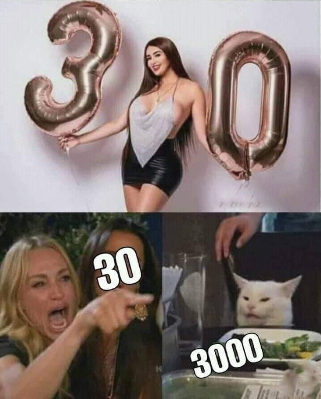 Кота не переубедить