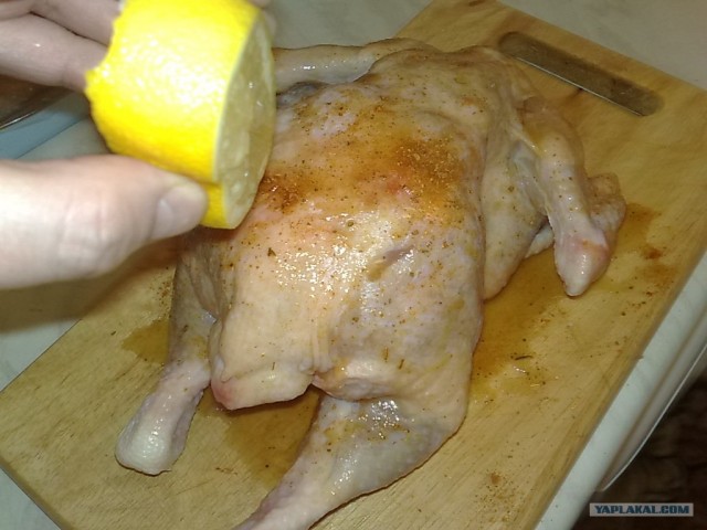 Курица и все из нее!
