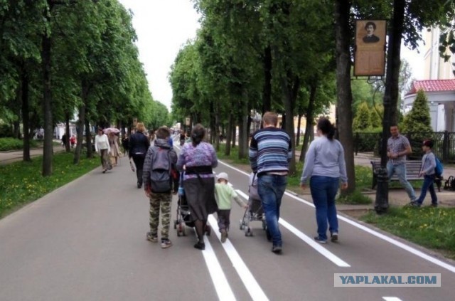 В Москве началось строительство первой велодорожки до Санкт-Петербурга
